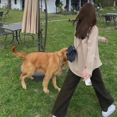 抗倭侠侣第二季